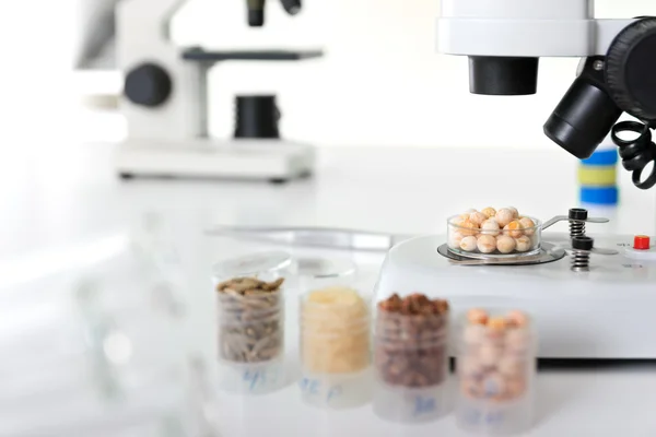 Sementes sujeitas a seleção em laboratório microbiológico — Fotografia de Stock