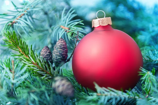 Großaufnahme der Weihnachtskugel vom Weihnachtsbaum — Stockfoto