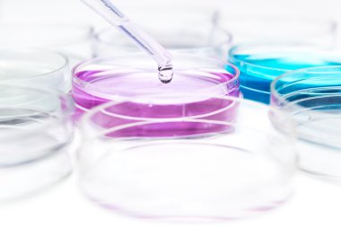 renkli sıvı ve petri yemekler damla ile pipet