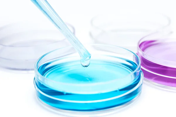 Pipette with drop of color liquid and petri dishes — Stock Photo, Image