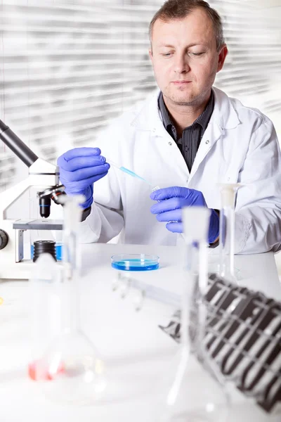 Cientista que trabalha no laboratório, examina um com líquido — Fotografia de Stock