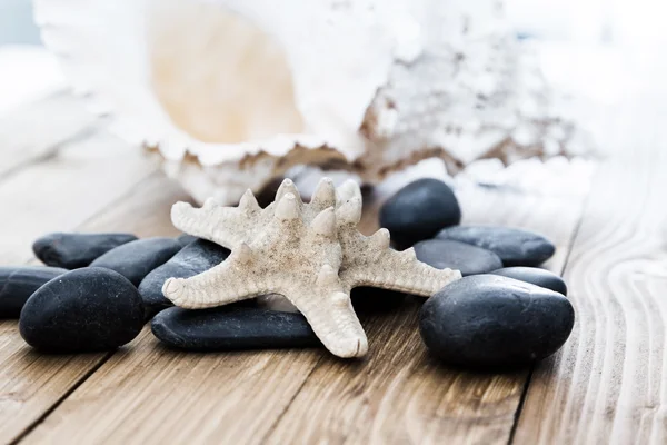 Close-up van starfish zeeschelp op oude houten bord — Stockfoto