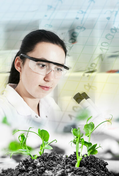 Scientist holding and examining samples plants
