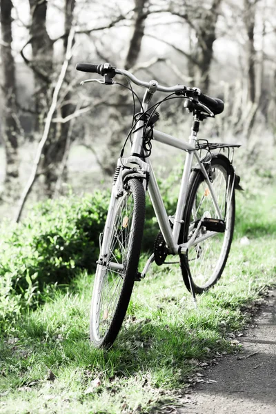 Gamla cyklar i parken — Stockfoto