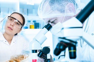 laboratuarda laboratuar asistanı