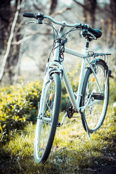 Oldtimer altes Fahrrad im Feld. — Stockfoto