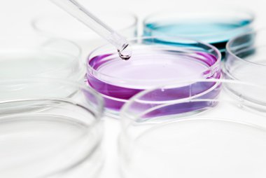 renkli sıvı ve petri yemekler damla ile pipet