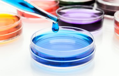 sıvı ve petri yemekler damla ile pipet
