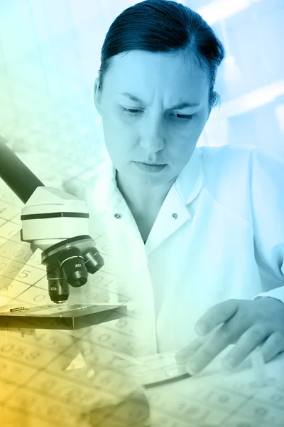 Laboratory assistant in the laboratory — Stock Photo, Image