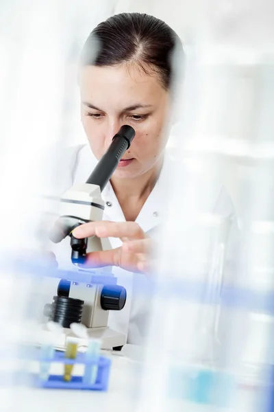 Scientist using a microscope in a laboratory — Stock Photo, Image