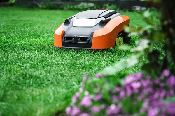 Çim robotu çimleri biçiyor. Robotik çim biçme makinesi bahçede çim biçiyor..