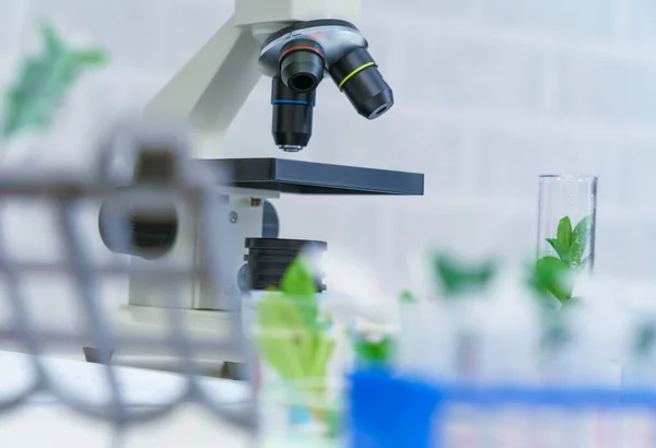 Mikroskop Und Jungpflanze Wissenschaftlichen Reagenzglas Laborforschung Biochemie Biotechnologiekonzept — Stockfoto