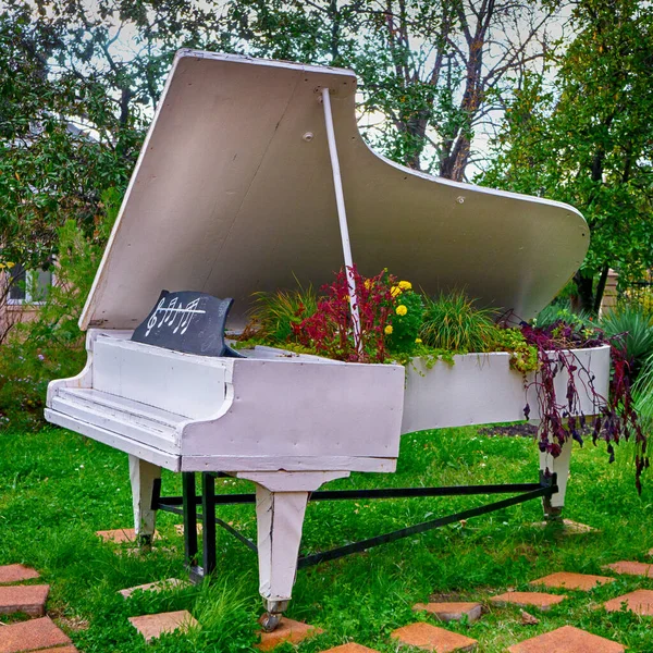 Vitt Höstpiano Med Blommor Gräsmattan — Stockfoto