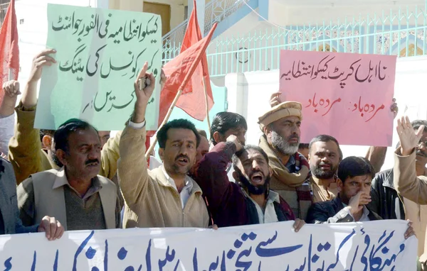 Activists of WAPDA Employee Pegham Union chant slogans for increasing their salaries and price hiking during protest demonstration — Stock Photo, Image