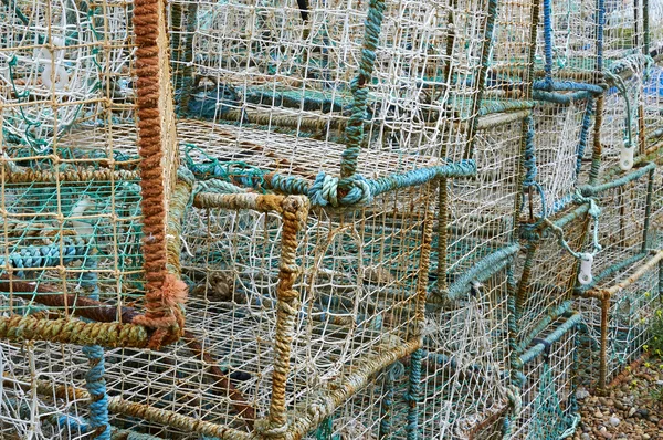 Pentola di aragosta — Foto Stock