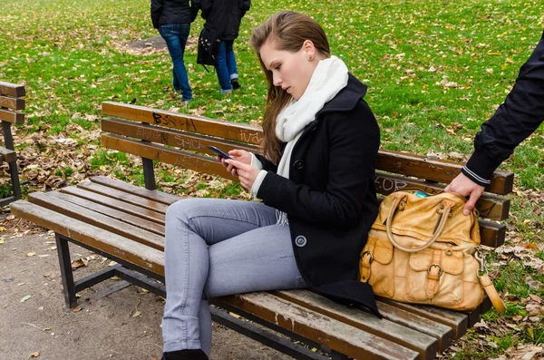 Kapsář krást taškou, zatímco žena pomocí telefonu na lavičce v parku — Stock fotografie