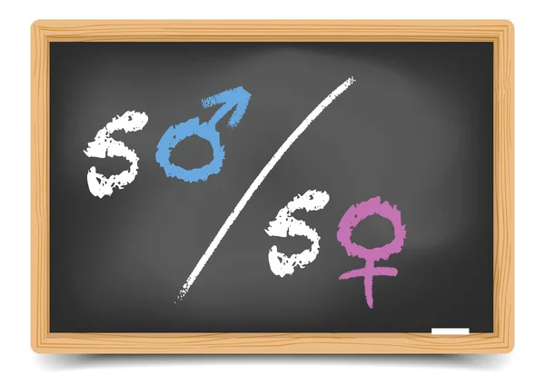 Blackboard Gender Equality — Stock Vector