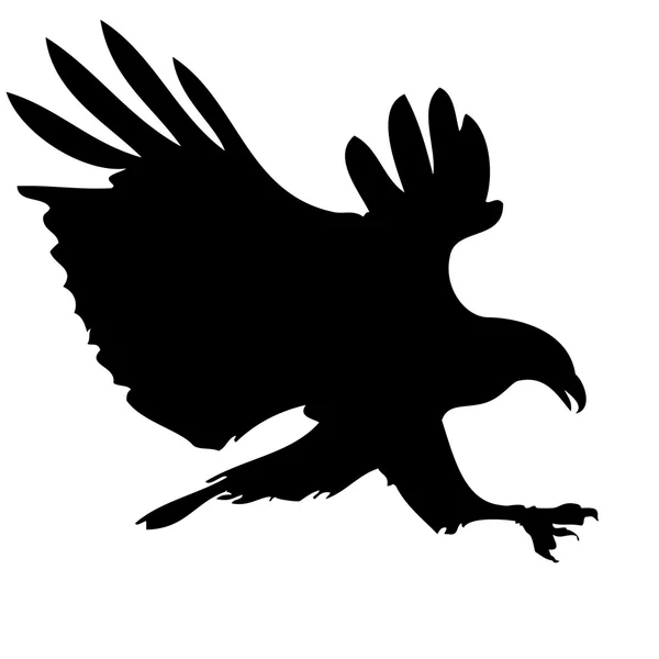 Aigle de chasse — Image vectorielle