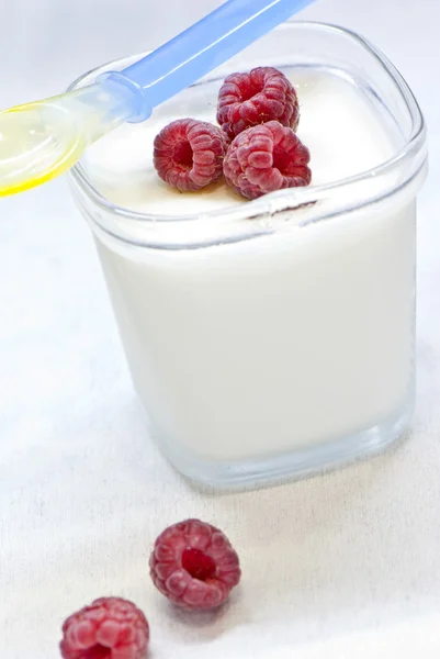 Raspberry yoghurt in glas — Stockfoto