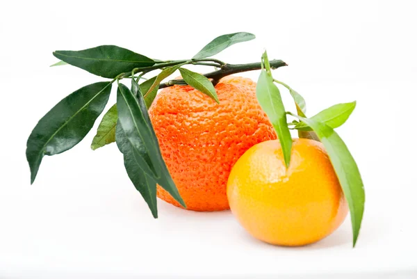 Mandarin. tangeriner med blad — Stockfoto