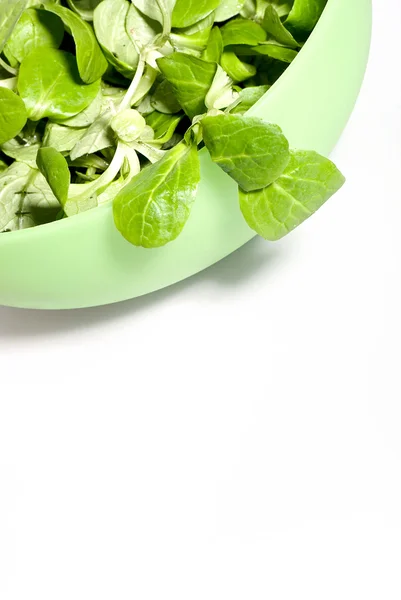 Majs sallad — Stockfoto