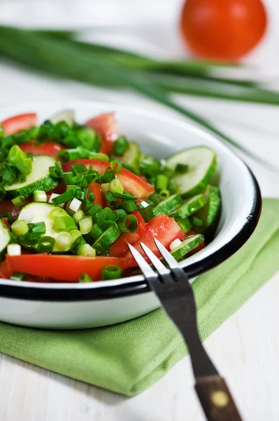 Pepino, tomate e salada de cebola verde — Fotografia de Stock
