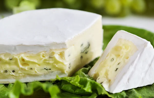 Kék penész sajt — Stock Fotó