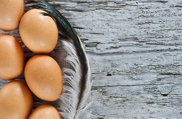 Ovos e penas na madeira velha — Fotografia de Stock