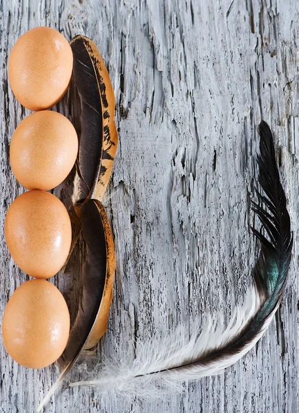 Eggs and feather on the old wood — Stock Photo, Image