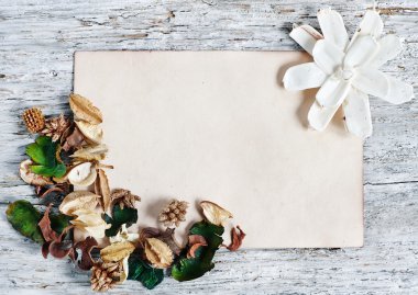 kağıt ile kuru bitkiler arka plan