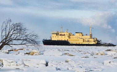 Kargo gemisi buz denizi