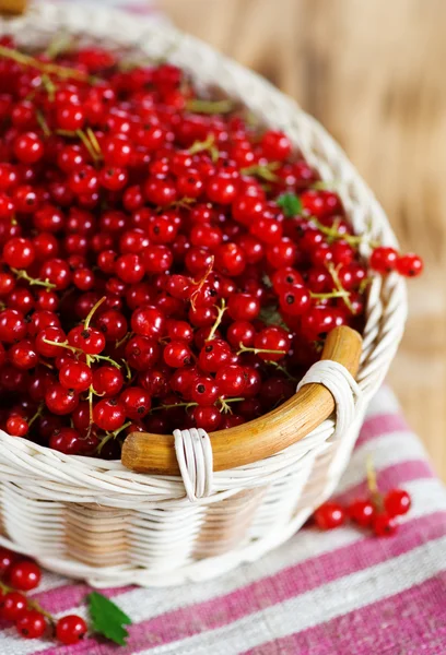 Red currant — Stock Photo, Image