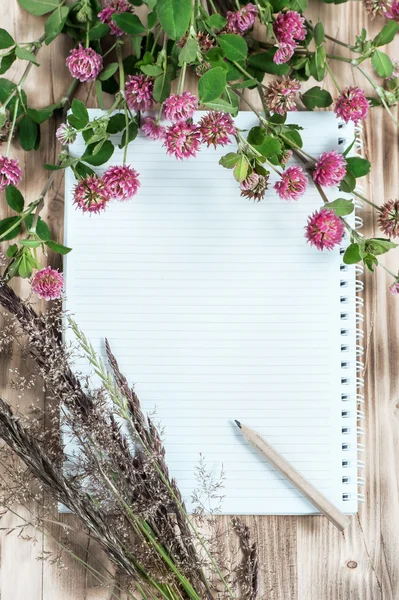 Open notebook, clover, herbs and pencil — Stock Photo, Image