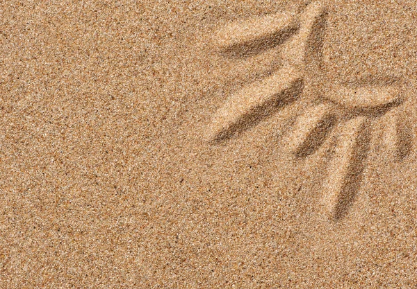 Drawing sun on the sand — Stock Photo, Image