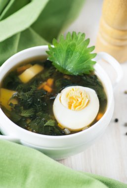 ısırgan otu çorbası