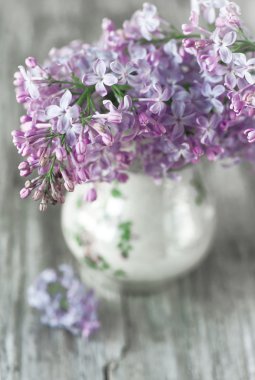 Eflatun çiçek buketi