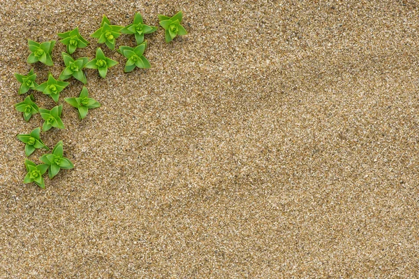 Zomer achtergrond — Stockfoto