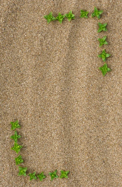 Zomer grens — Stockfoto