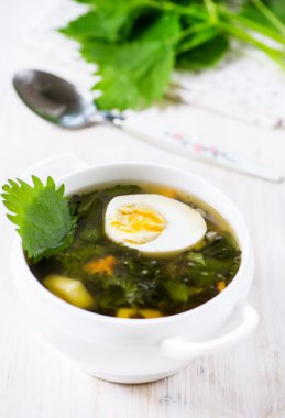 yumurta ile ısırgan otu çorbası