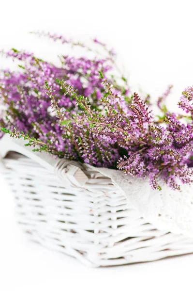 Heather in the basket — Stock Photo, Image