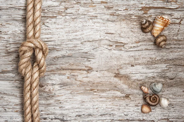 Cuerda de barco, conchas y fondo de madera — Foto de Stock