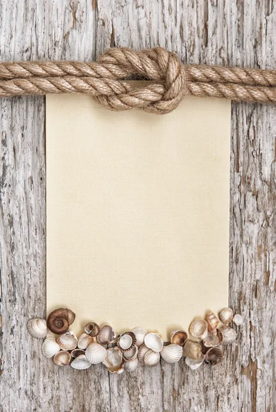 Ship rope, canvas, sea shells and wood background — Stock Photo, Image