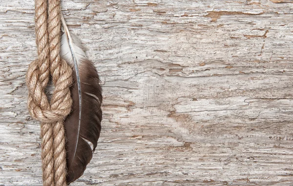 Schip touw, veren en hout achtergrond — Stockfoto