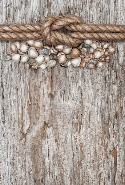 Corda de navio, conchas e fundo de madeira — Fotografia de Stock