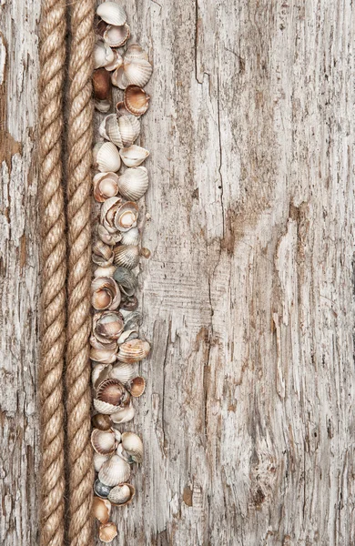 Cuerda, conchas marinas y fondo de madera — Foto de Stock