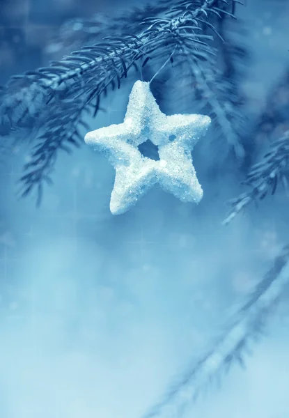 モミの枝上のクリスマスの装飾 — ストック写真