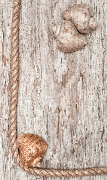 Cuerda, conchas marinas y fondo de madera — Foto de Stock