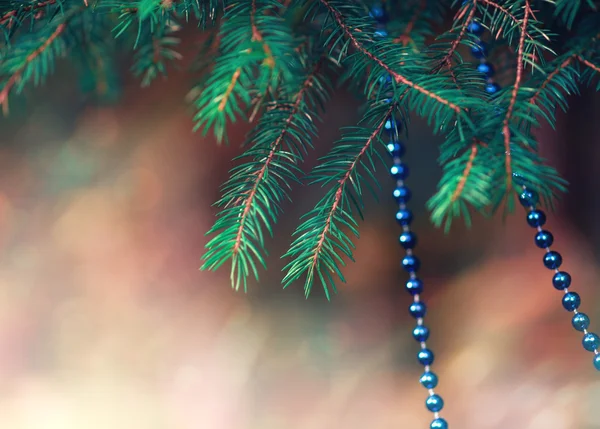 Juldekoration på grenen fir — Stockfoto