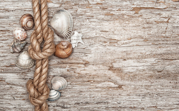 Ship rope, shells and old wood
