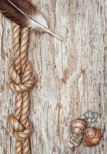 Schip touw, schelpen, veren en oude houten rand — Stockfoto